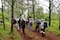 Alcaldía Milpa Alta reforesta paraje El Coyote con 12 mil árboles 
