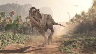 El Tyrannosaurus rex crecía de forma lenta y constante hasta alcanzar la edad adulta, a los 40 años
