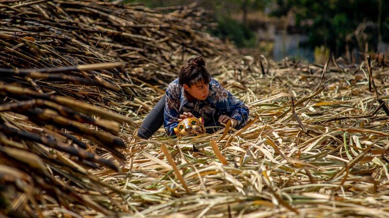 Mujer joven recogiendo leña en el campo