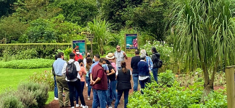 Visita guiada a un jardín botánico