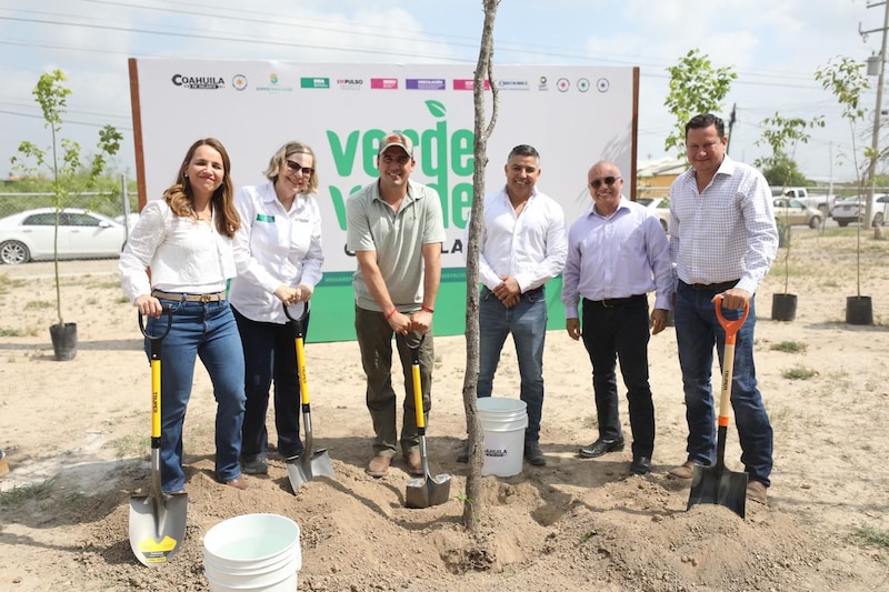 Personas sembrando árboles durante la jornada de reforestación simultánea en Sabinas, Coahuila, como parte de la campaña “Verde Verde Coahuila”