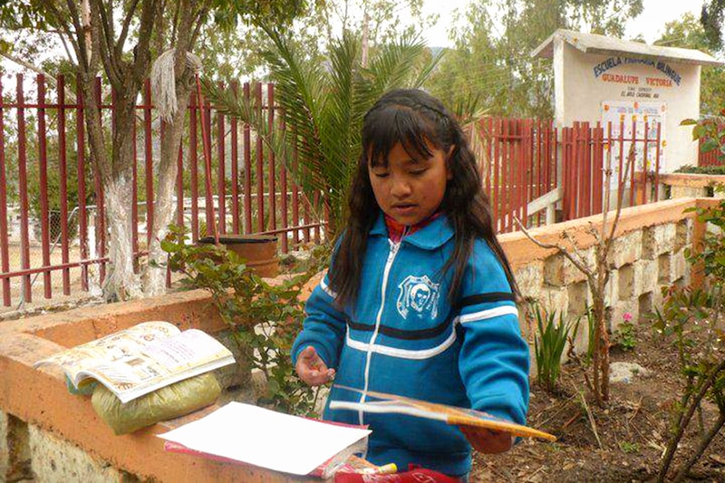 Niña leyendo un libro en el jardín de una escuela rural