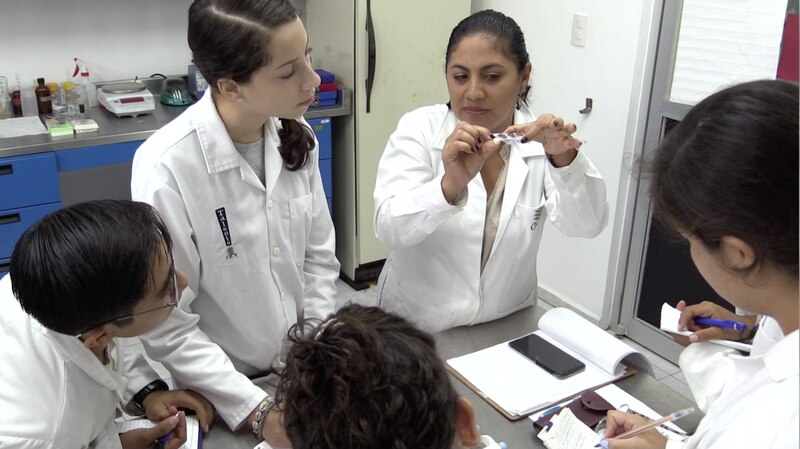 Estudiantes de química en el laboratorio