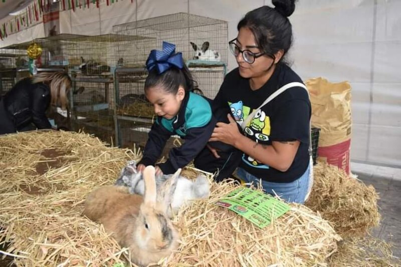 Madre e hija acariciando a unos conejos en una granja