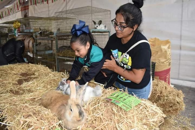 Madre e hija acariciando a unos conejos en una granja