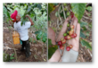 ¡Investigación socioecológica de impacto! El caso de éxito del Consejo Regional del Café de Coatepec