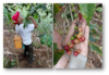 ¡Investigación socioecológica de impacto! El caso de éxito del Consejo Regional del Café de Coatepec
