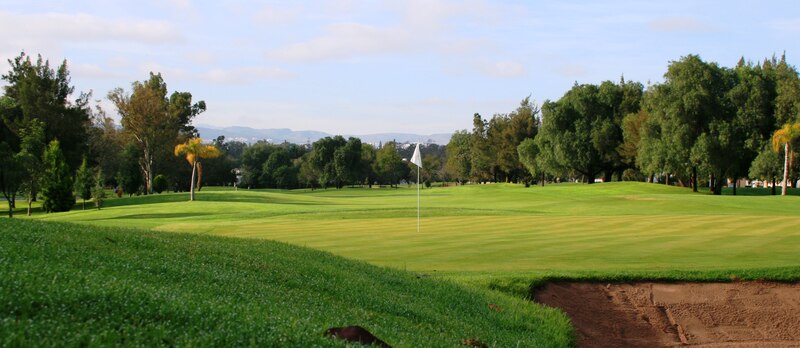 Campo de golf con green, bunker y árboles