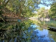 Descubre el Parque Estatal Urbano Barranca de Chapultepec en Cuernavaca