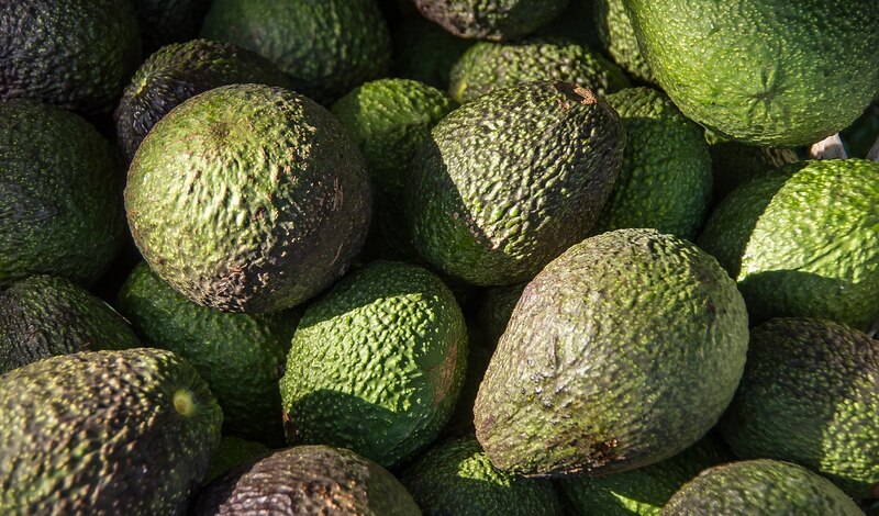 Aguacates frescos