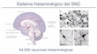 Neuromoduladores, adaptan el sistema  nervioso fisiológica y conductualmente 