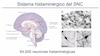 Neuromoduladores, adaptan el sistema  nervioso fisiológica y conductualmente 