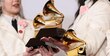 La edición 67 de los Grammy se realizará el 2 de febrero de 2025 en Los Ángeles
