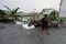 ¡Alerta máxima en Asia por Tifón Ragasa!..  17 muertos en Taiwán y millones de evacuados en China