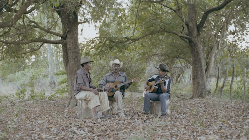 Tres hombres tocando música en el campo