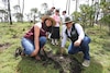 Temoaya celebra el Día de los Pueblos Indígenas con reforestación en el Cerro de Catedral