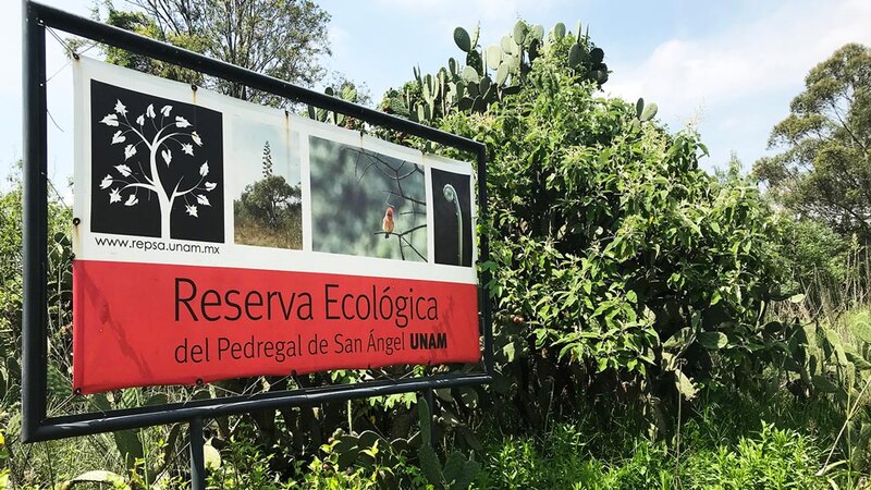 Reserva Ecológica del Pedregal de San Ángel