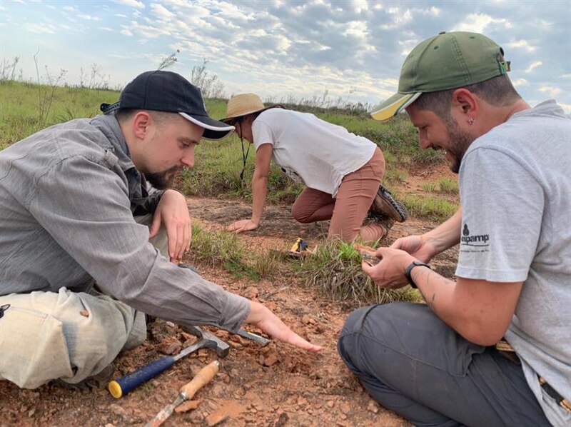 Un equipo de paleontólogos trabajando en una excavación