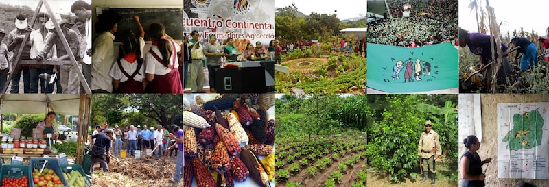 La agricultura en América Latina y el Caribe