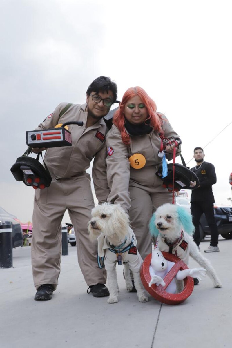 ¡Los cazafantasmas y sus mascotas!