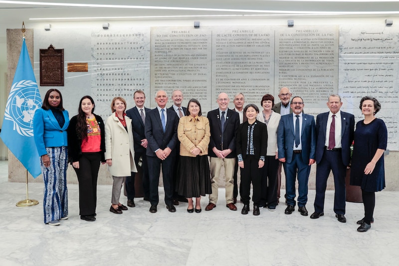 FAO: 41º período de sesiones de la Conferencia