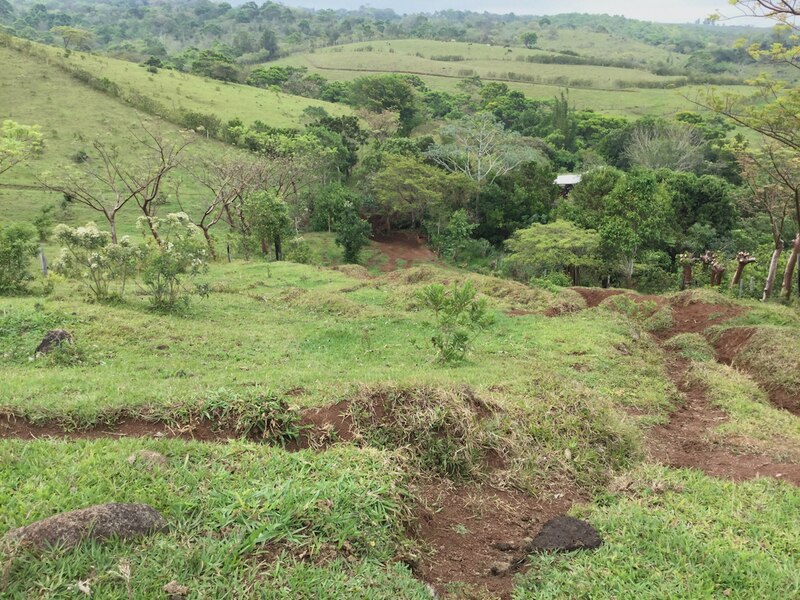Paisaje de campo con árboles y montañas