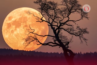 Superluna Fría de diciembre del 2025: fecha, horario y dónde se podrá ver en México