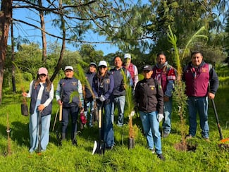 Sheinbaum arranca en Puebla la Jornada Nacional de Reforestación; drones y voluntarios siembran 6.6 millones de árboles en un día