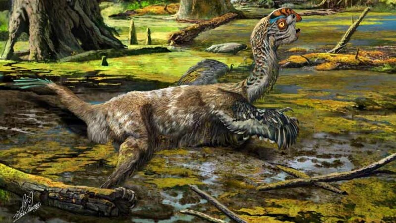 Un dinosaurio emplumado chapoteando en un pantano