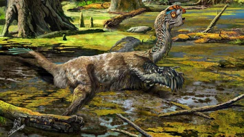 Un dinosaurio emplumado chapoteando en un pantano