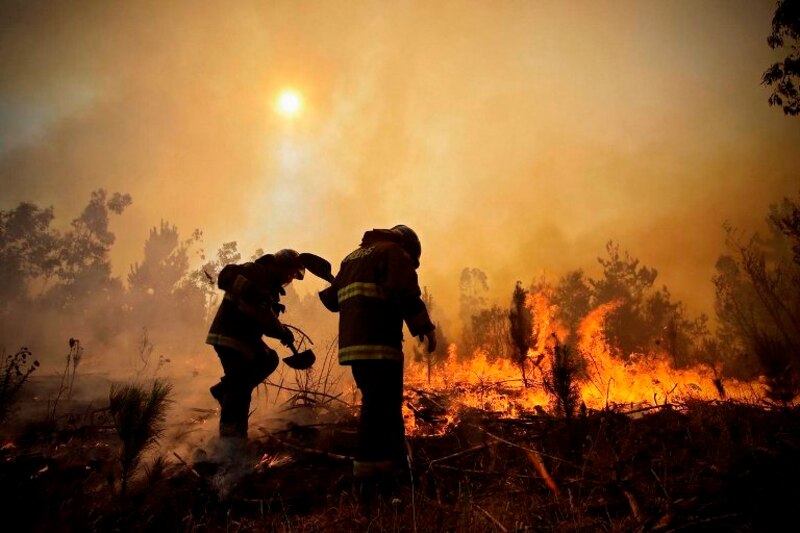 Bomberos combaten un incendio forestal