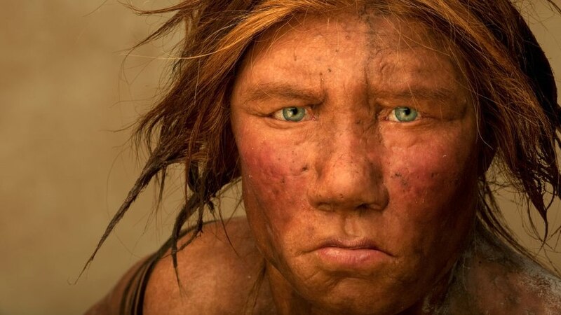 ¿Qué aspecto tenían los neandertales?