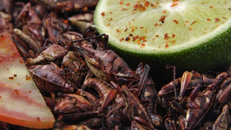 Chapulines, un manjar mexicano