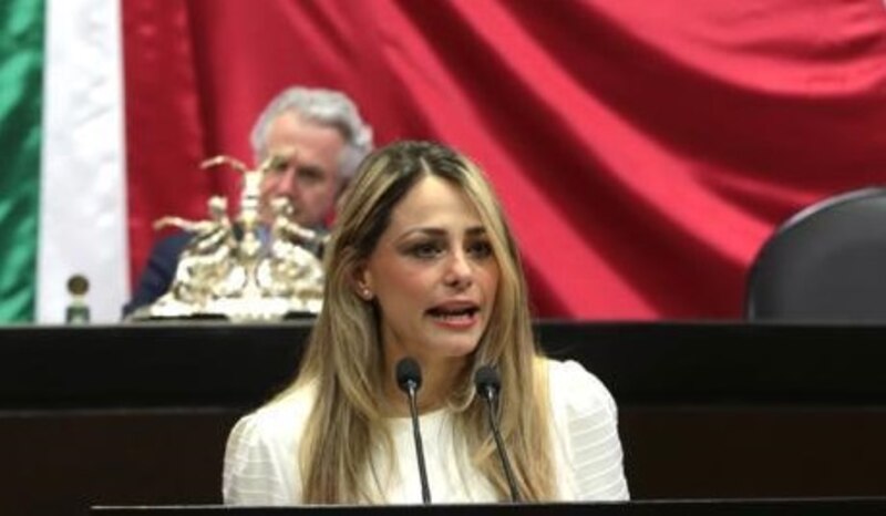 La diputada mexicana Gabriela Sodi Miranda hablando en el pleno de la Cámara de Diputados.