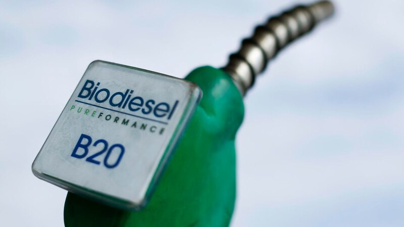 Biodiesel, una alternativa sostenible