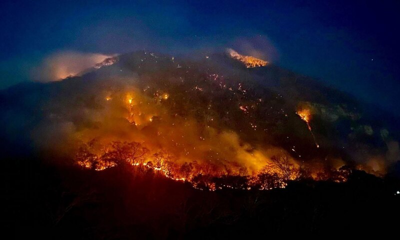 Incendios forestales en Australia