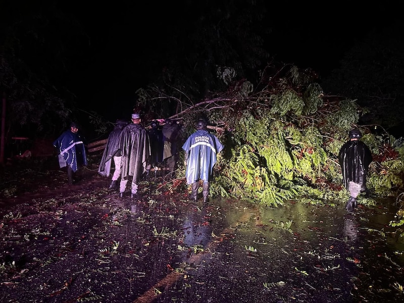 Rescatistas retiran un árbol caído de la carretera tras el paso del huracán.