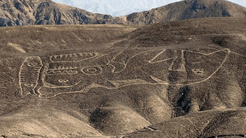 Geoglifo de un camélido en Nazca, Perú