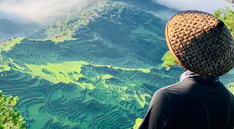 Las terrazas de arroz de Banaue