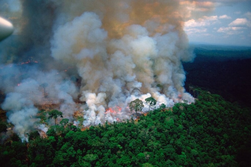 Incendios forestales en la Amazonía