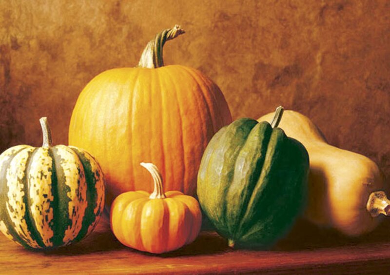 Variedades de calabazas