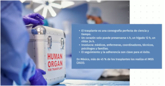 En México, al menos 16 mil 525 personas claman por un riñón; urge concientización para ceder órganos, dicen expertos