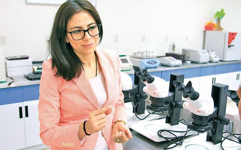 La científica mexicana María Elena Álvarez-Buylla, nueva directora del Conacyt