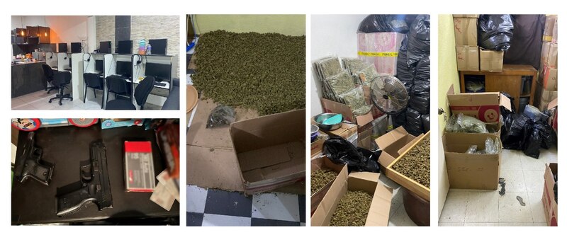 Desmantelan un laboratorio de marihuana en España