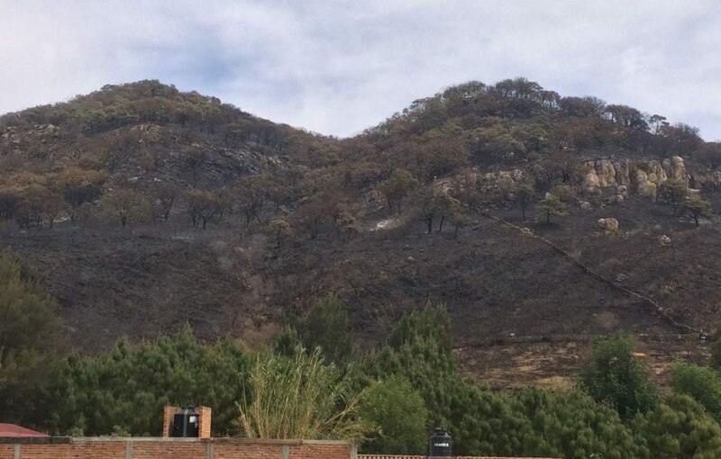 Incendios forestales en México