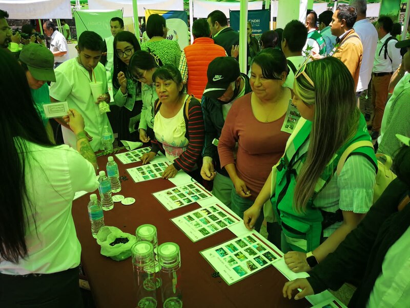 Mujeres indígenas en una feria de artesanías