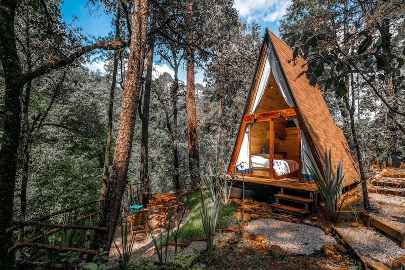 Cabaña en medio de un bosque en México