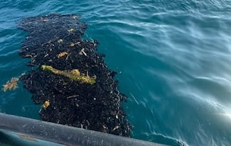Manchas de petróleo llegan a playas de Alvarado en Veracruz