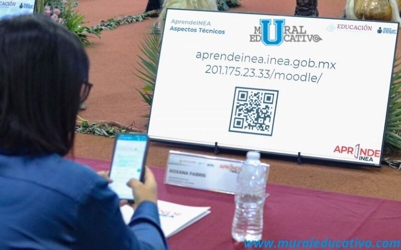 AprendeINEA, Educación en línea
