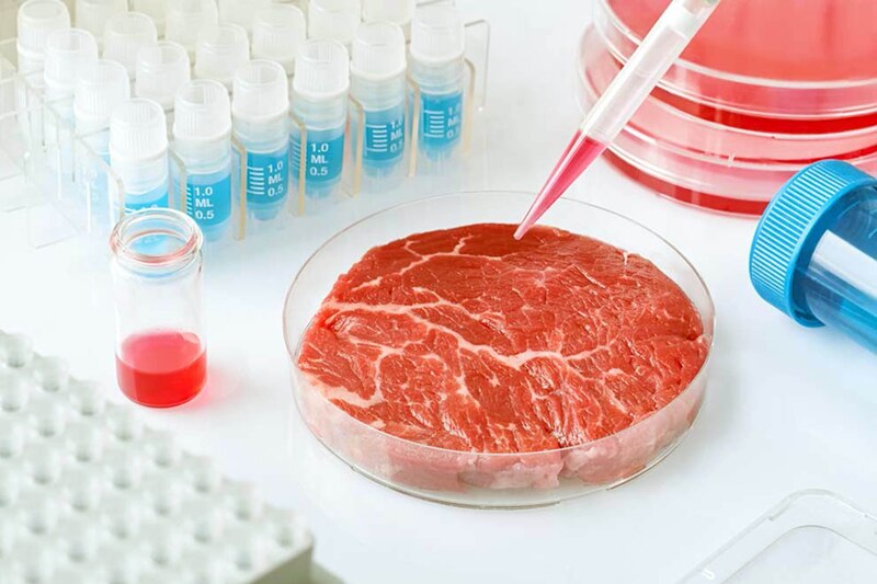 Carne cultivada en laboratorio
